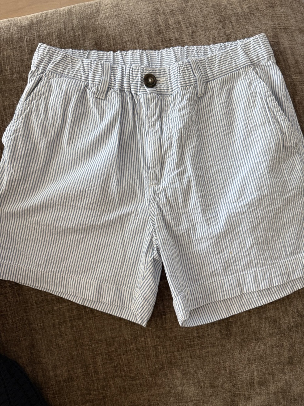 chubbies Blue & White Seersucker Flat Front Shorts